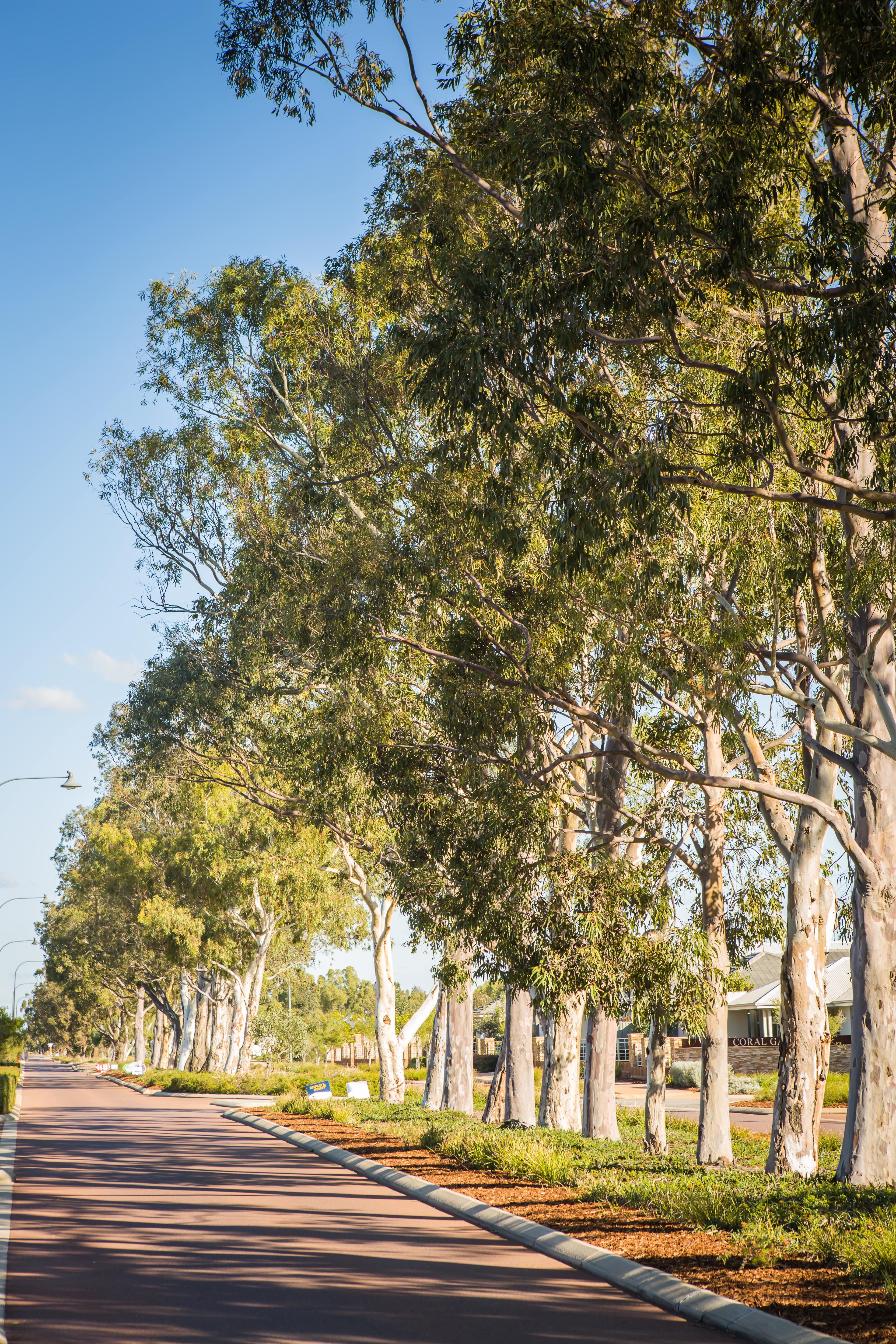 The Glades Byford Homes Streetscape